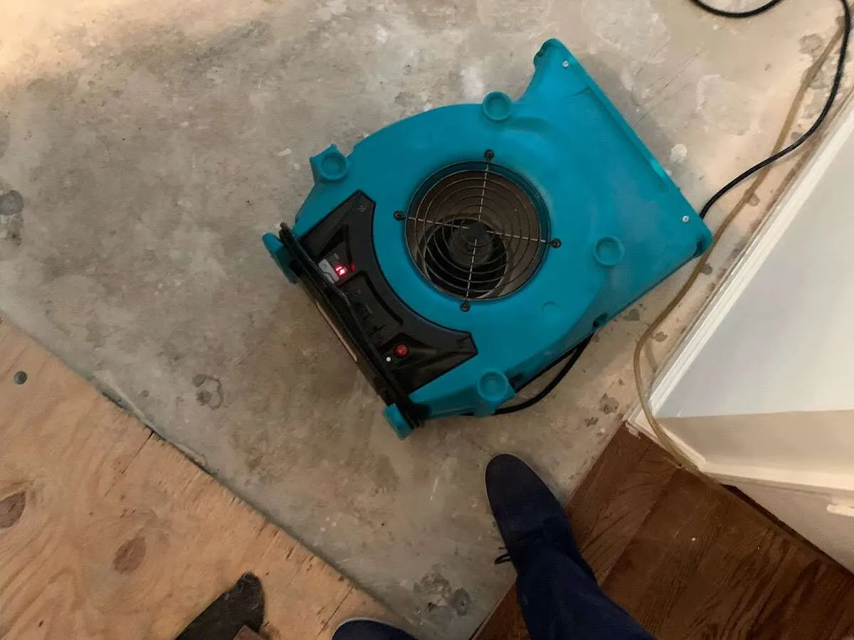 Air mover drying subfloor during Commercial Water Damage Restoration in Westchester